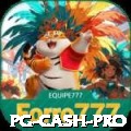 pg Cash Pro